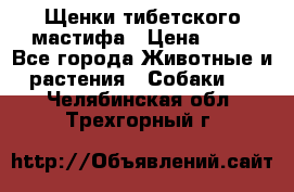 Щенки тибетского мастифа › Цена ­ 80 - Все города Животные и растения » Собаки   . Челябинская обл.,Трехгорный г.